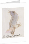 The Gray Bird by Edward Lear
