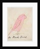 The Pink Bird by Edward Lear