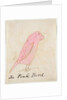 The Pink Bird by Edward Lear