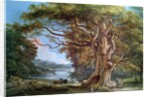 An Ancient Beech Tree, 1794 by Paul Sandby