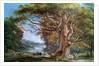 An Ancient Beech Tree, 1794 by Paul Sandby