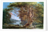 An Ancient Beech Tree, 1794 by Paul Sandby