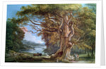 An Ancient Beech Tree, 1794 by Paul Sandby