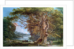 An Ancient Beech Tree, 1794 by Paul Sandby