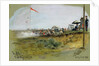 The Albert - First Stage, 900 yards, Bisley Camp, 1893 by Cecil Cutler
