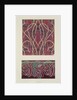 Fabric Designs for Paisley Shawls, c.1871 by George Charles Haite
