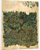 Design for 'Vine' wallpaper, c.1872 by William Morris