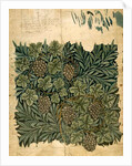 Design for 'Vine' wallpaper, c.1872 by William Morris