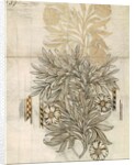 Floral textile design for Morris and Co. by English School