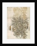 Floral textile design for Morris and Co. by English School