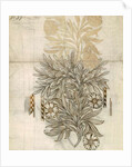 Floral textile design for Morris and Co. by English School