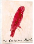 The Crimson Bird by Edward Lear