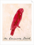 The Crimson Bird by Edward Lear