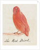 The Red Bird by Edward Lear