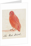 The Red Bird by Edward Lear