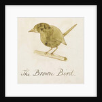 The Brown Bird by Edward Lear