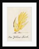 The Yellow Bird by Edward Lear