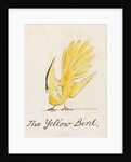 The Yellow Bird by Edward Lear