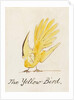 The Yellow Bird by Edward Lear