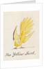 The Yellow Bird by Edward Lear