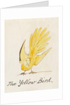 The Yellow Bird by Edward Lear