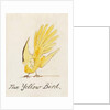 The Yellow Bird by Edward Lear