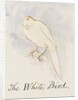 The White Bird by Edward Lear