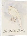 The White Bird by Edward Lear