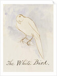 The White Bird by Edward Lear