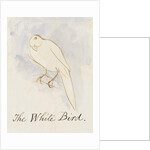 The White Bird by Edward Lear