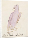 The Lilac Bird by Edward Lear