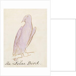The Lilac Bird by Edward Lear