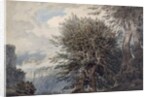 Mountainous Landscape with Beech Trees, 1792 by John Robert Cozens