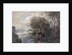 Mountainous Landscape with Beech Trees, 1792 by John Robert Cozens