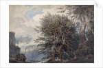Mountainous Landscape with Beech Trees, 1792 by John Robert Cozens