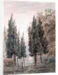 In the Gardens of the Villa Pamfili, Rome by John Robert Cozens