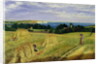 Corn Field in the Isle of Wight by Richard Burchett