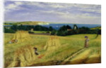 Corn Field in the Isle of Wight by Richard Burchett