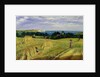 Corn Field in the Isle of Wight by Richard Burchett