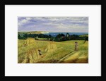 Corn Field in the Isle of Wight by Richard Burchett