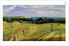 Corn Field in the Isle of Wight by Richard Burchett