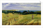 Corn Field in the Isle of Wight by Richard Burchett