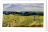 Corn Field in the Isle of Wight by Richard Burchett