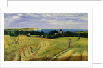 Corn Field in the Isle of Wight by Richard Burchett