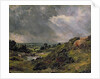 Hampstead Heath, Branch Hill Pond, 1828 by John Constable