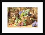 Plums by William Henry Hunt