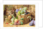 Plums by William Henry Hunt