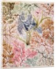 Textile design, c.1788-92 by William Kilburn