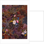 Textile design, c.1788-92 by William Kilburn