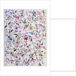 Textile design, c.1788-92 by William Kilburn